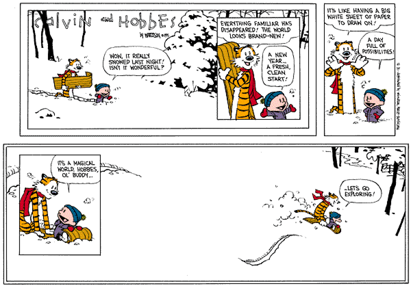 Calvin & Hobbes last adventure